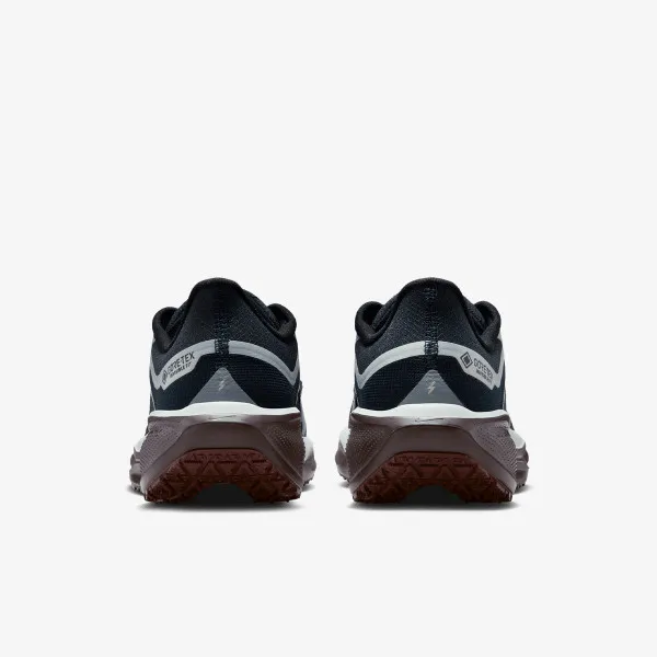 Nike W AIR ZM PEGASUS 41 GTX 