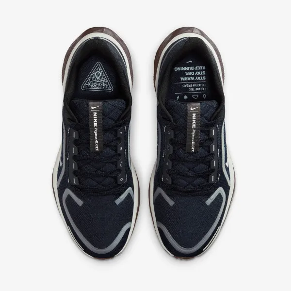 Nike W AIR ZM PEGASUS 41 GTX 