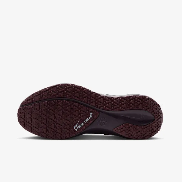 Nike W AIR ZM PEGASUS 41 GTX 