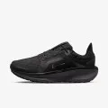 Nike Air WInflo 11 