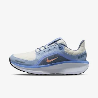 Nike Air WInflo 11 
