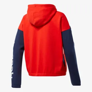 Reebok TE Linear Logo FL Fullzip 
