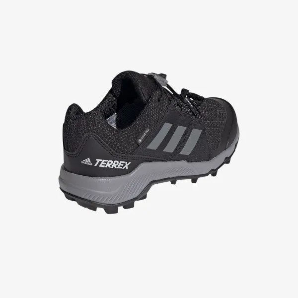 adidas Tenisice TERREX GTX 