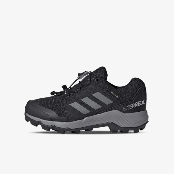 adidas TERREX GTX 