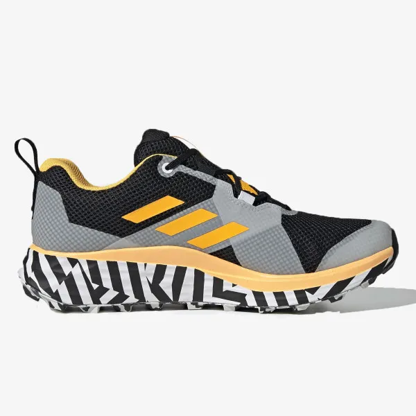 adidas Tenisice TERREX TWO GTX 