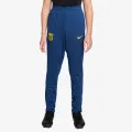 Nike FCB Y NK DF STRK PANT KPZ SE 