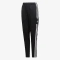 adidas SQ21 TR PNT Y 
