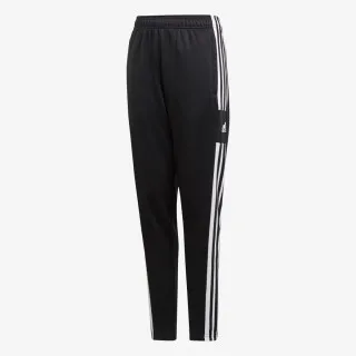 adidas SQ21 TR PNT Y 
