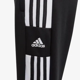 adidas SQ21 TR PNT Y 