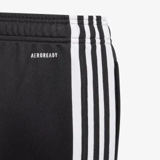 adidas SQ21 TR PNT Y 