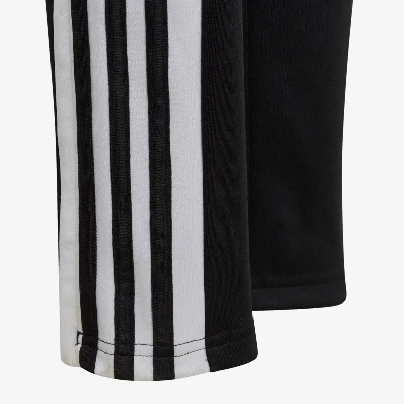 adidas SQ21 TR PNT Y 