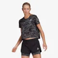 adidas P.BLUE TEE 