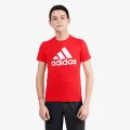 adidas ESSENTIALS BIG LOGO 