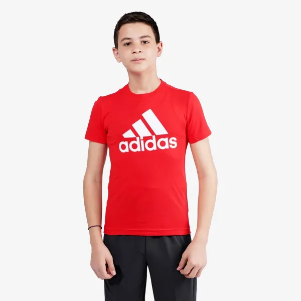 adidas T-shirt ESSENTIALS BIG LOGO 