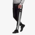 adidas SQ21 SW PNT 
