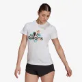 adidas FLORAL 