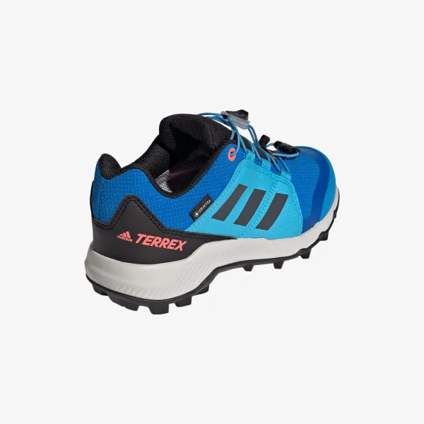 adidas Tenisice TERREX GORE-TEX 