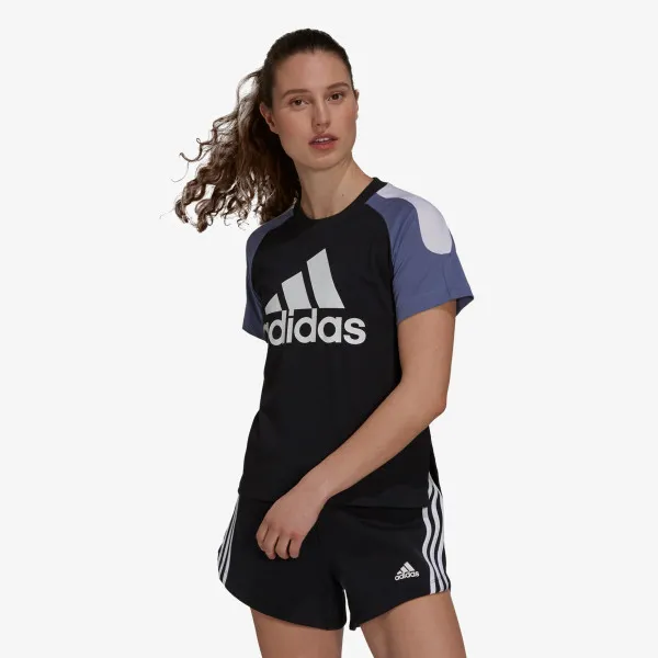 adidas T-shirt W SCB TEE 