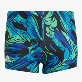 adidas YB BOLD BRIEF 
