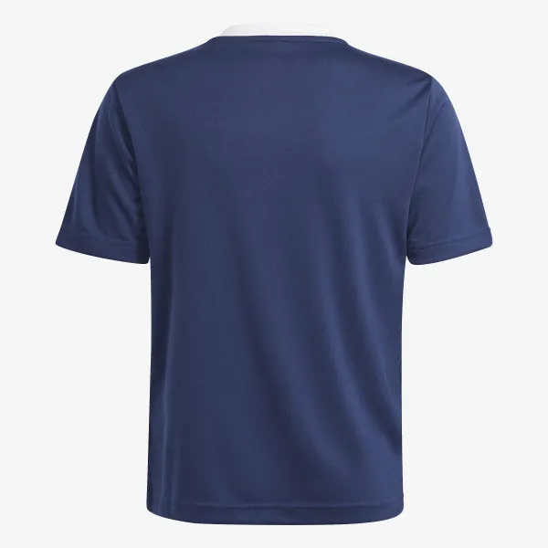 adidas T-shirt Entrada 22 