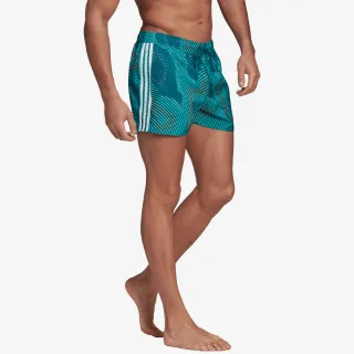 adidas MELBOUR CLX VSL 