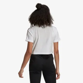 adidas CROPPED TEE 