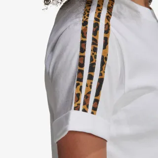 adidas CROPPED TEE 