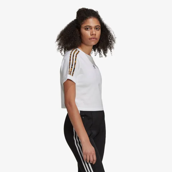 adidas CROPPED TEE 