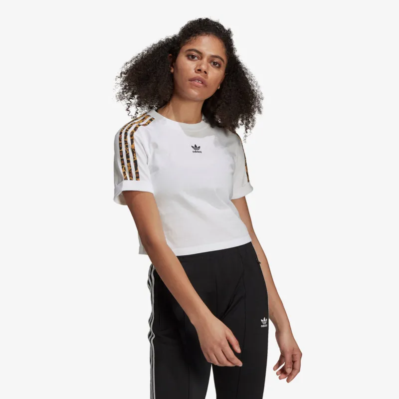 adidas CROPPED TEE 