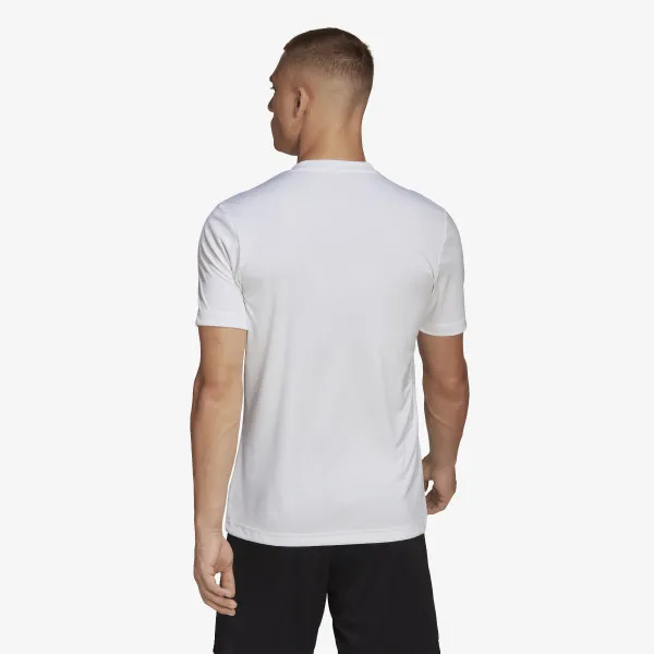 adidas T-shirt Entrada 22 