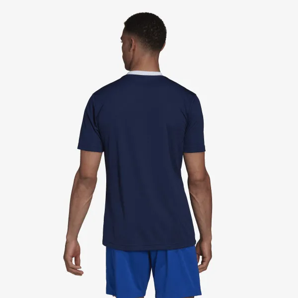 adidas T-shirt Entrada 22 