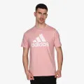 adidas ESSENTIALS 