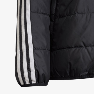 adidas JAKNA Adicolor 