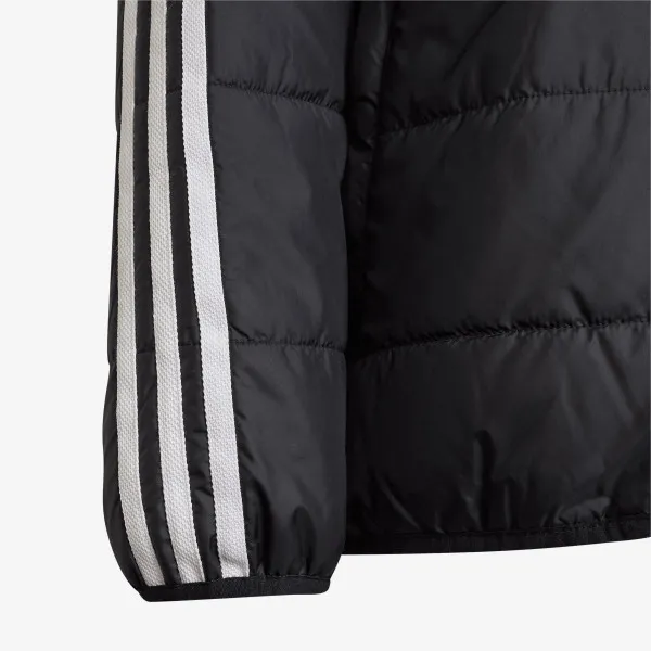 adidas JAKNA Adicolor 