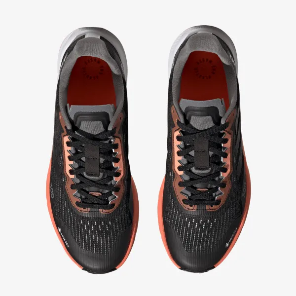 adidas TENISICE TERREX AGRAVIC FLOW 2 GTX W 