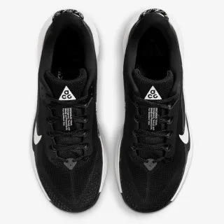 Nike Pegasus 