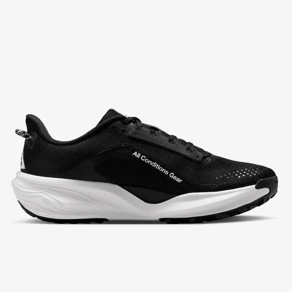 Nike Pegasus 