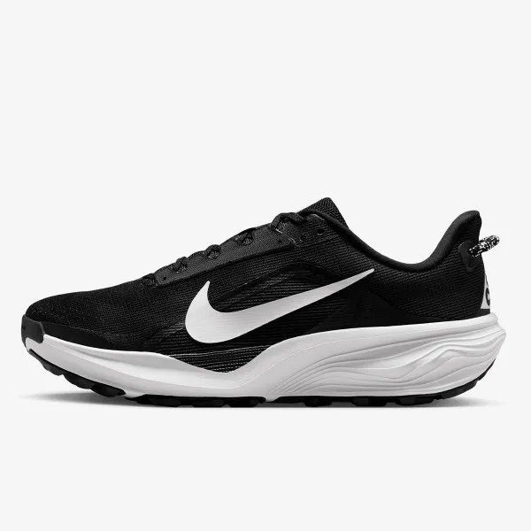 Nike Pegasus 