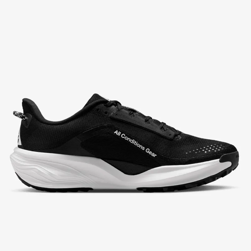 Nike Pegasus 