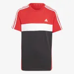 adidas T-shirt Tiberio 3-stripes Colorblock 