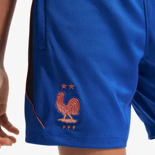 Nike FFF Strike 