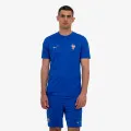 Nike FFF M NK DF STRK SS TOP K 