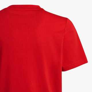 adidas T-SHIRT GRAPHIC 