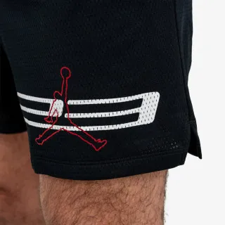 Nike Jordan Dri-Fit Mesh Graphic 