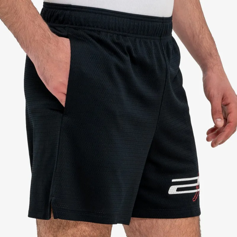 Nike Jordan Dri-Fit Mesh Graphic 