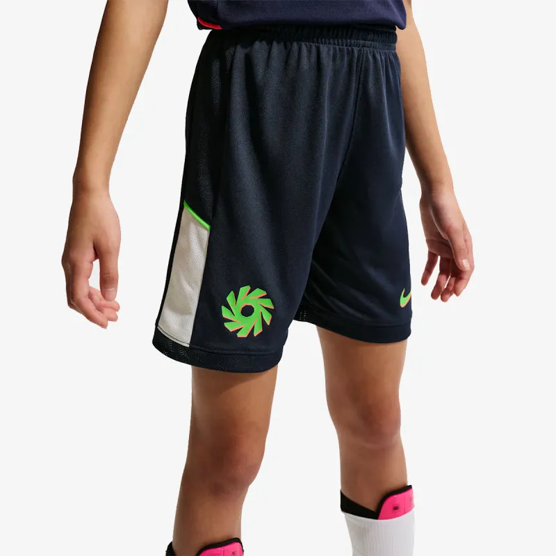 Nike Academy 25 