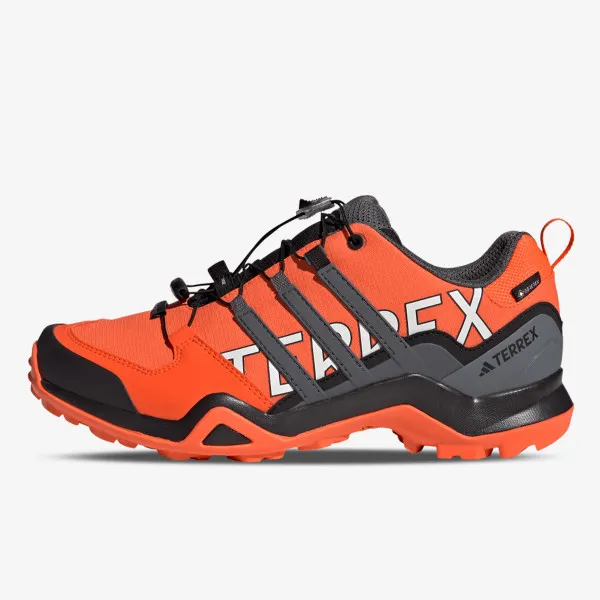 adidas Tenisice TERREX SWIFT R2 GTX 