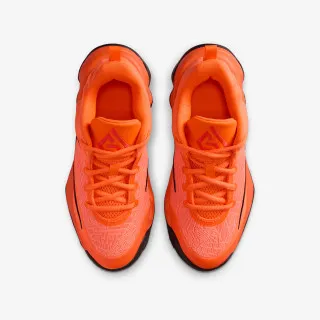 Nike GIANNIS IMMORTALITY 4 GS 