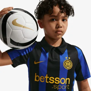 Nike Inter Stadium 