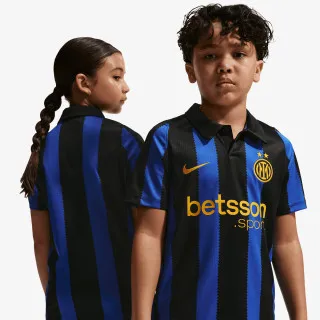 Nike Inter Stadium 